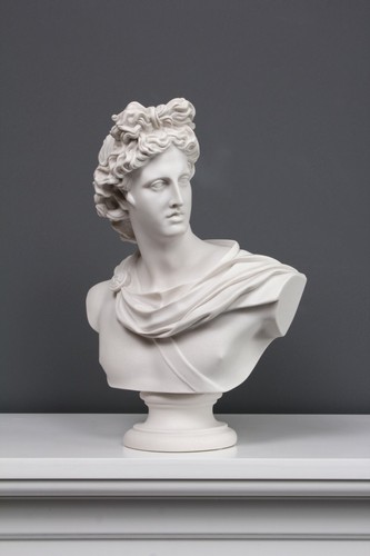 Apollo belvedere bust statue - belvedere,
