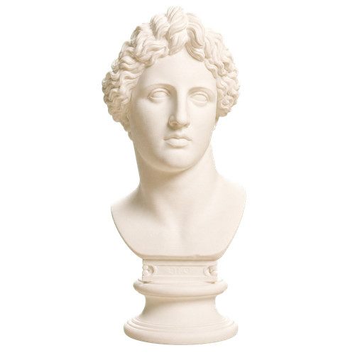 Bust the apollo lykeios - of,
